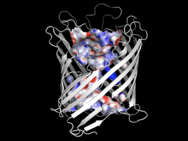 Image of protein channel
