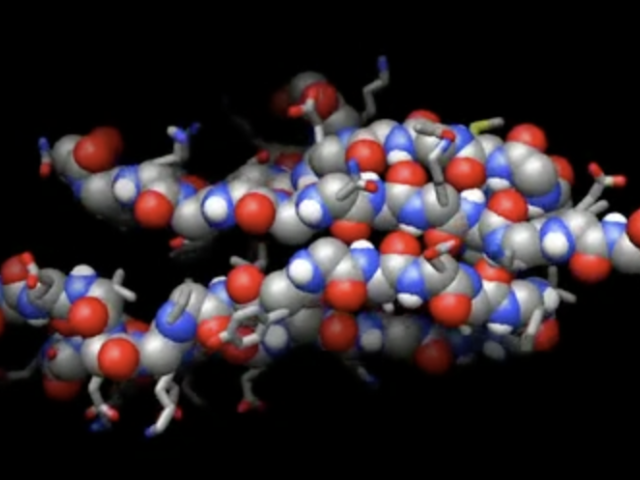 Snapshot of atomic protein structure